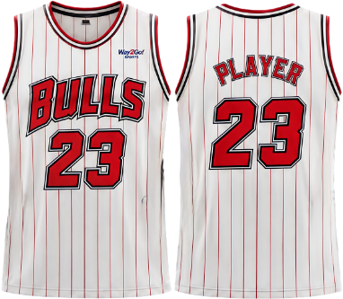 Way2Go Bulls Jersey - Customizable